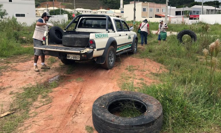 Camboriú registra 54 focos do mosquito Aedes aegypti desde o início do ano