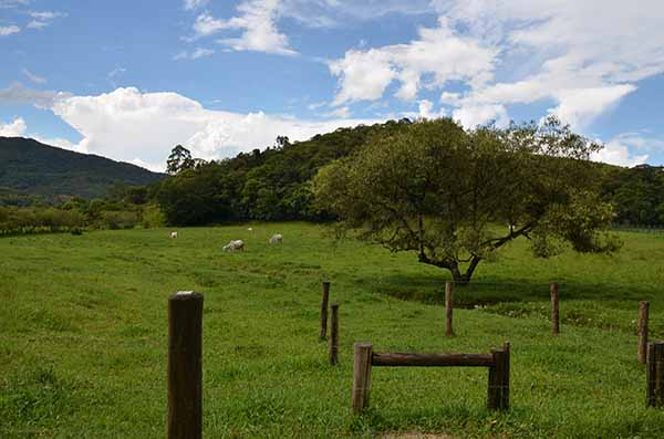 Prazo para cadastro ambiental de propriedades rurais é prorrogado até 31 de maio