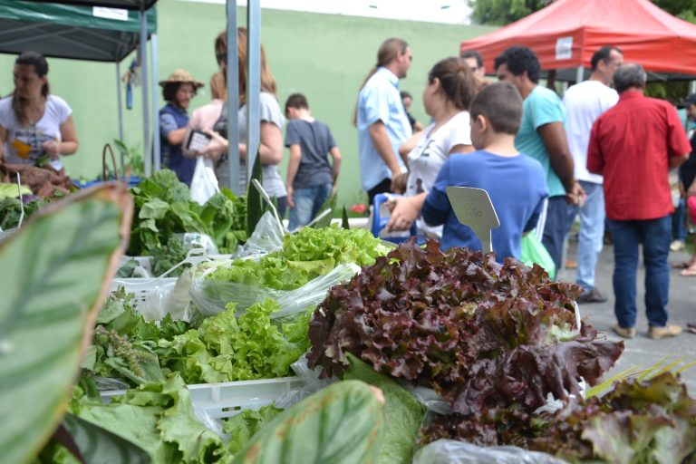 Sábado tem Feira do Produtor Rural no bairro Monte Alegre