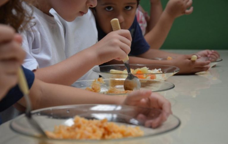 Secretaria de Educação abre 98 novas vagas para creches em Camboriú