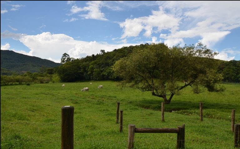 Cadastramento de propriedades rurais segue até 31 de maio