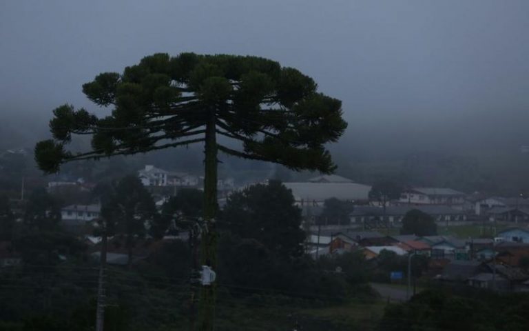 Segunda-feira amanhece com temperaturas negativas em SC