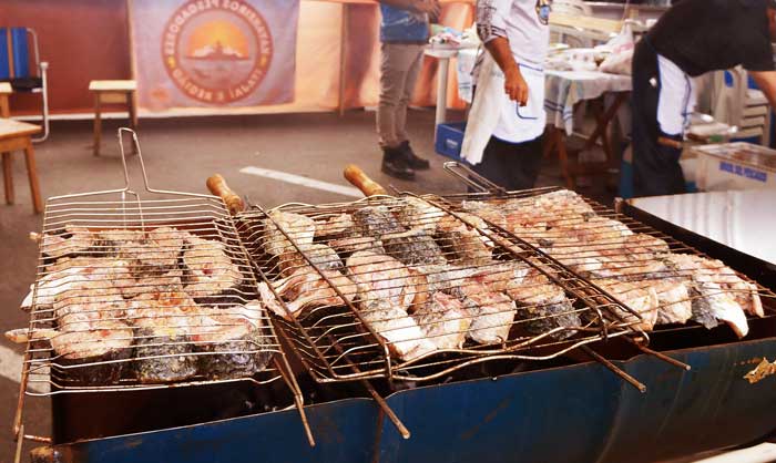 10ª Festa da Tainha vai agitar Itajaí neste sábado