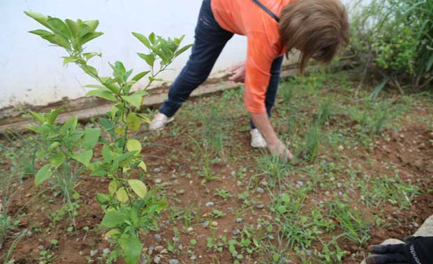 Assistência Social de Itajaí é destaque em evento de Segurança Alimentar