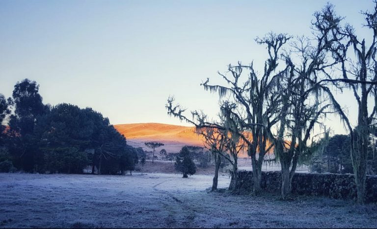 Cidades de SC ficam abaixo de zero e Urupema chega a -5,3°C
