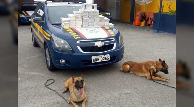 PRF apreende 61 kg de cocaína em painel de carro importado em Itapema
