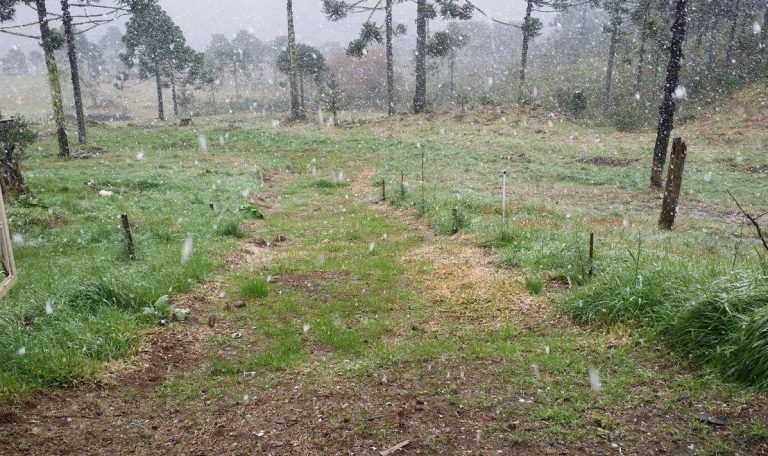 Flocos de neve são registrados em cidades da Serra de SC