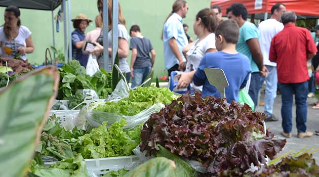 Feira do Produtor Rural estimula a agricultura familiar em Camboriú