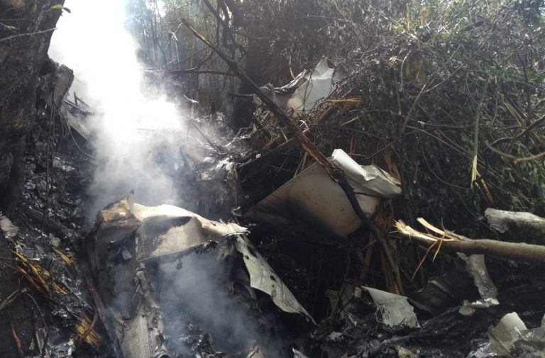 Fotos e Vídeo: Avião de pequeno porte cai e pega fogo no Oeste