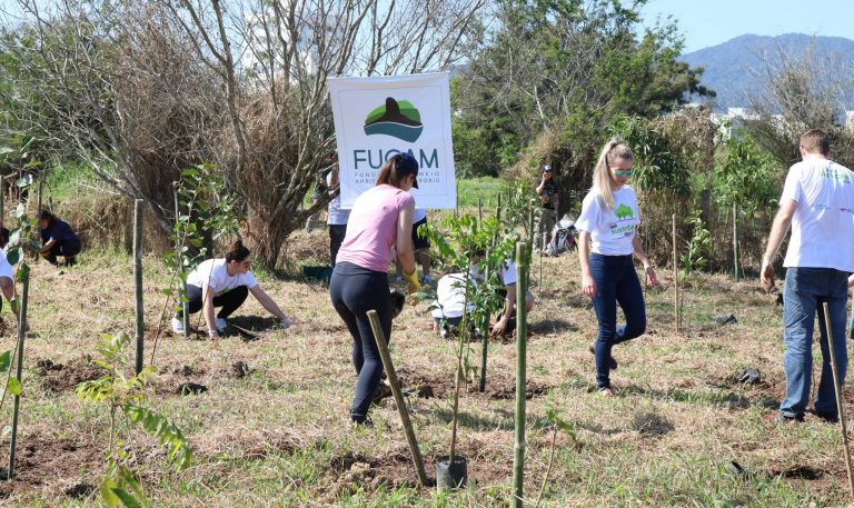 Fucam promove plantio de 550 mudas de plantas nativas às margens do Rio Camboriú