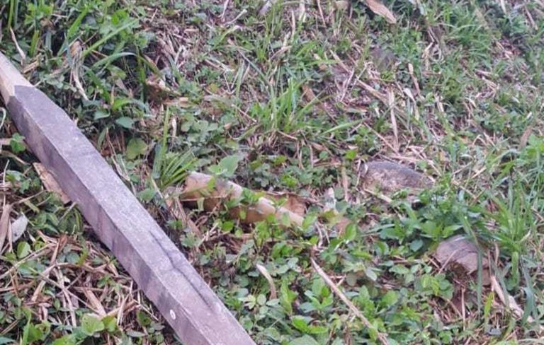 Dois andarilhos morrem após serem golpeados com pedaço de madeira enquanto dormiam