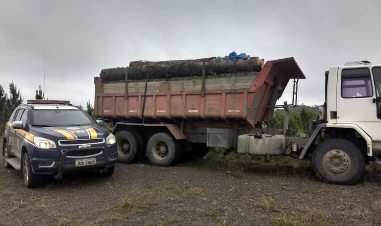 PRF prende motorista por crime ambiental e apreende caminhão com toras de araucária na Serra