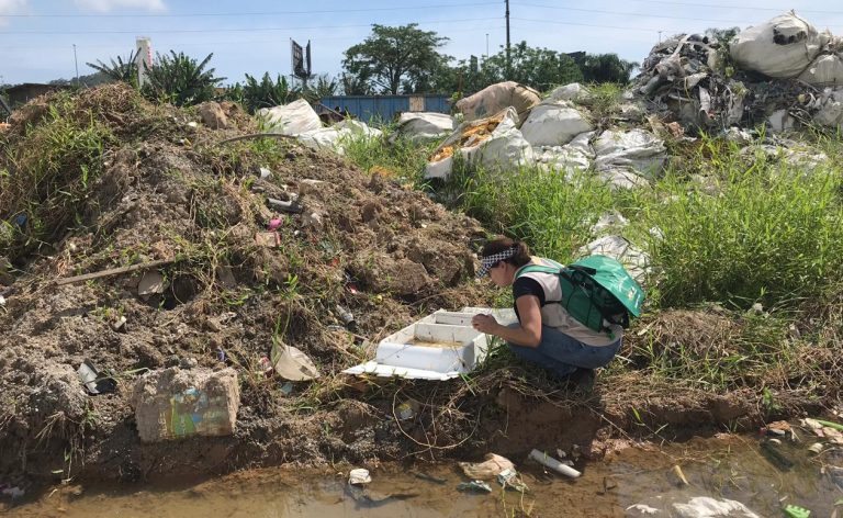 Programa de Combate à Dengue recolhe 120 larvas de mosquito em vistoria preventiva