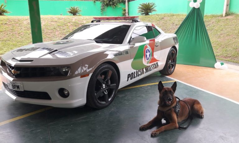PM de Balneário Camboriú agora tem Camaro como viatura policial