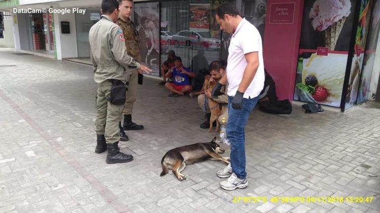 Cachorros são recolhidos após serem “embebedados” por moradores de rua em Itapema