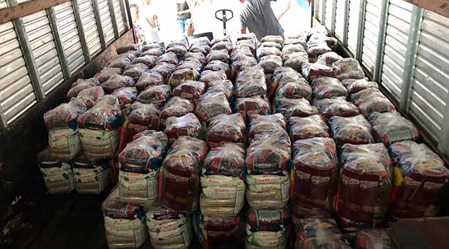 Prefeitura de Camboriú recebe doação de 245 cestas básicas