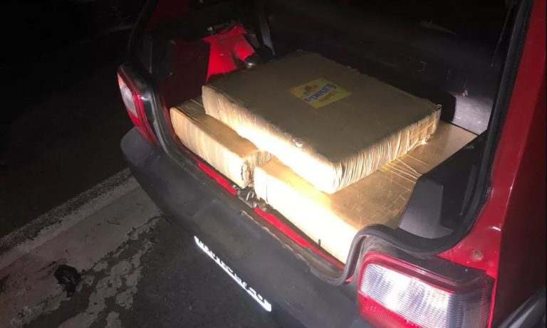 Mais de 250 kg de maconha são apreendidos na BR-101 em Itajaí