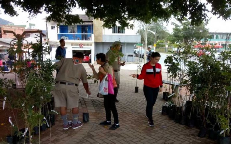 Grupo de Escoteiros distribui 150 mudas de árvores