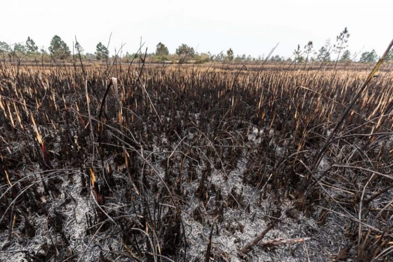 Estiagem de 2019 é semelhante às ocorridas em 2014 e 2017 em Santa Catarina, afirma Epagri