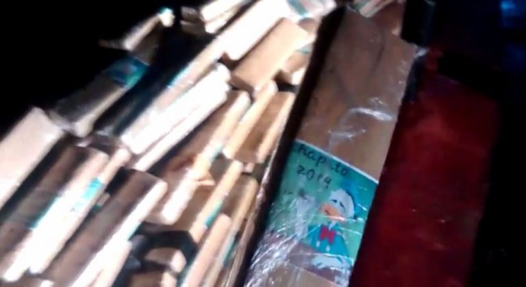 Caminhoneiro é preso transportando meia tonelada de maconha para SC