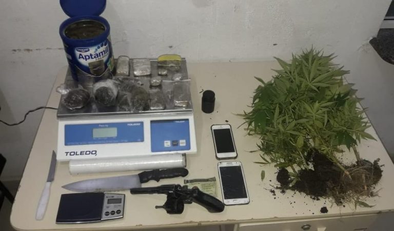 PM prende traficante com seis pés de maconha em Itapema