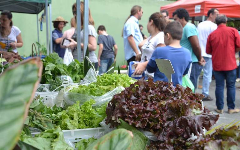Feira do Produtor Rural comemora dois anos em Camboriú