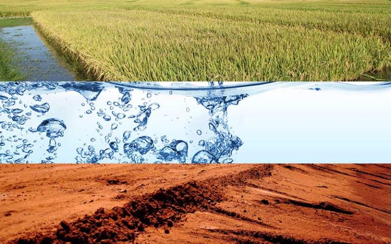 Parque Inundável Multiuso: O interesse é em Água, Arroz ou Terra?