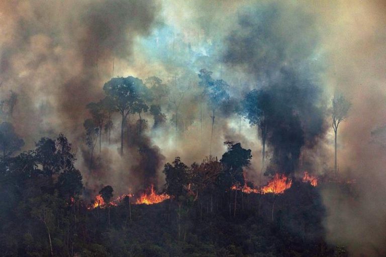 Polícia prende quatro integrantes de ONG suspeitos de incêndio criminoso na Amazônia