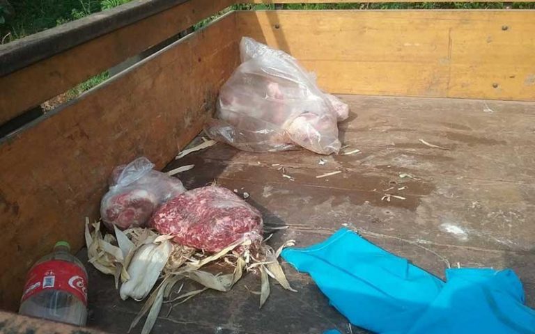 Homem é preso dirigindo jabiraca bêbado, dançar nu e roubar carne