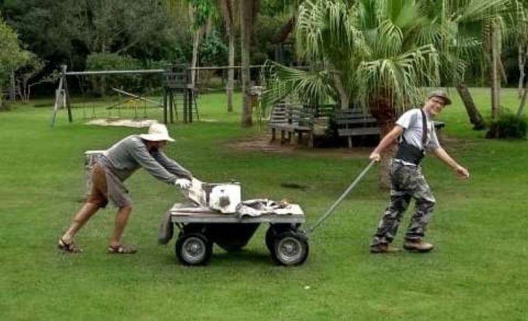 Esculturas são retiradas do Parque Raimundo Malta