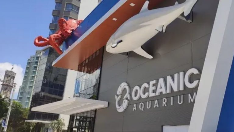 Oceanic Aquarium: Cinco anos em Balneário Camboriú