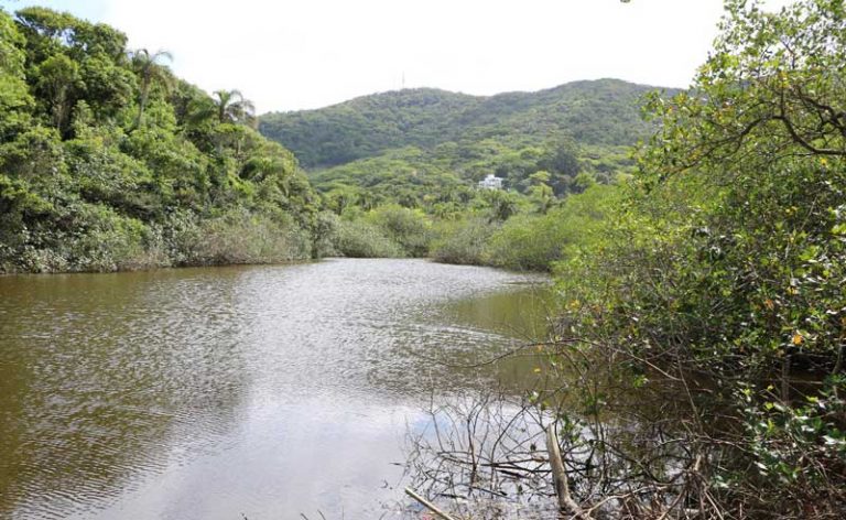 Após mais de 20 anos, Lagoa de Taquaras volta a ter balneabilidade positiva