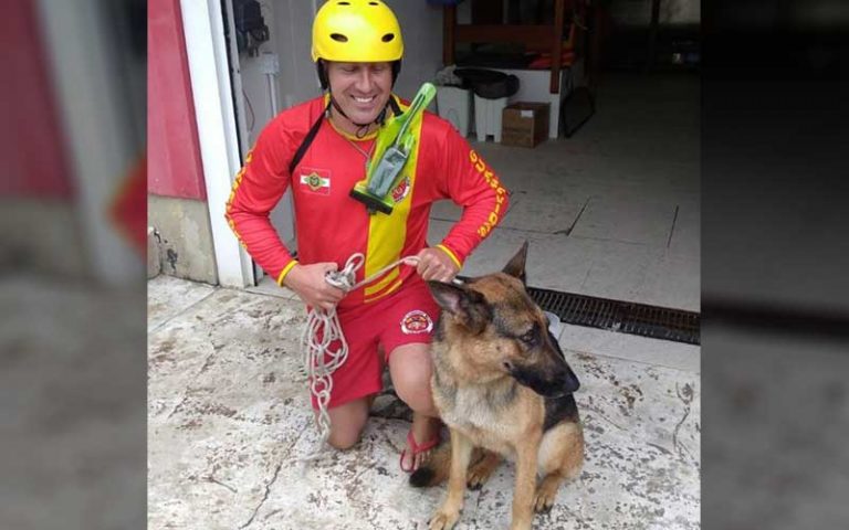 Cachorro é resgatado no mar após cair de deck em Balneário Camboriú