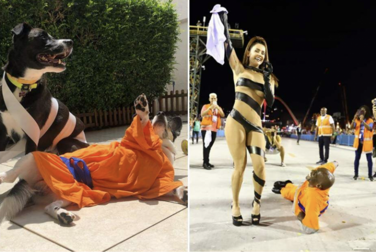 Cachorros imitam Deborah Secco no Carnaval e viralizam no Instagram