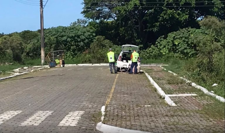Dois homens morrem após serem picados por abelhas em Navegantes