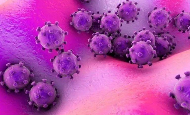 Coronavírus: SC tem mudanças em órgãos públicos e adiamento de eventos