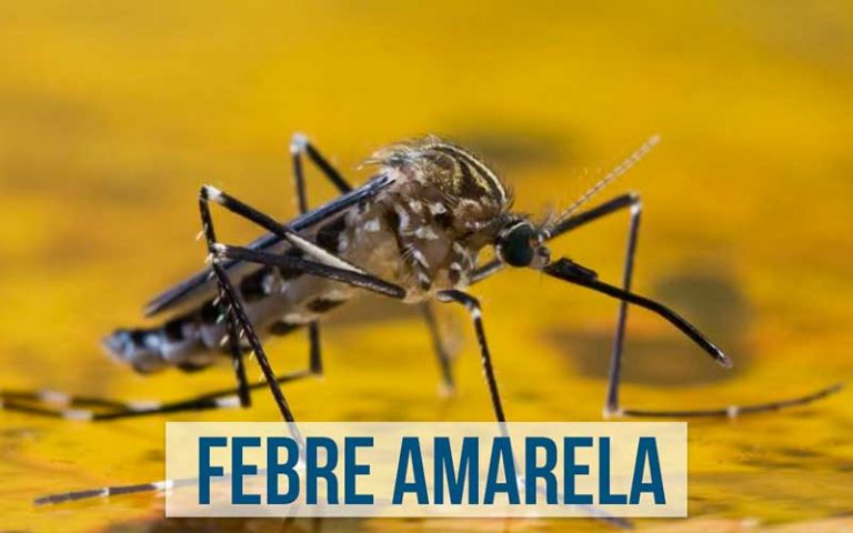 Morador de Camboriú morre com diagnóstico de Febre Amarela