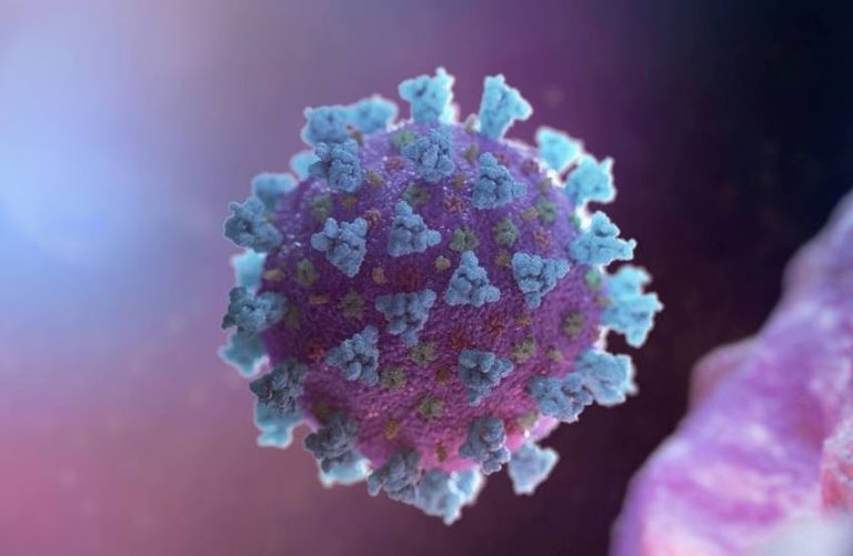 Camboriú tem 54 novos casos de coronavírus