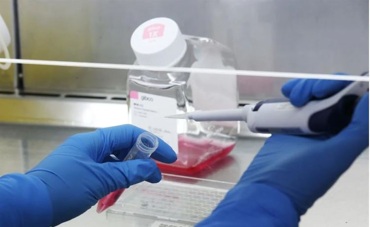 Santa Catarina registra 116 novos casos neste sábado