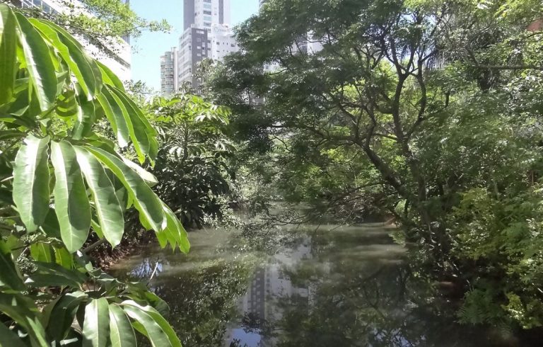 EMASA inicia estudos para o Parque Linear do Canal Marambaia