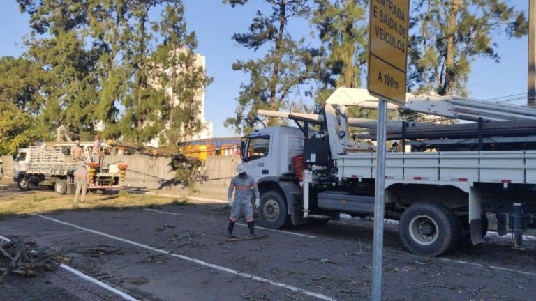 Celesc restabelece 85% do sistema elétrico catarinense