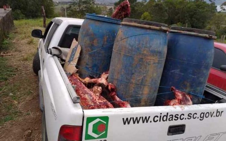 Polícia Civil interdita açougue que vendia carne de cavalo
