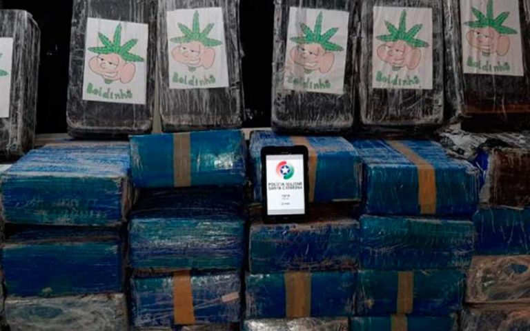 Duas toneladas de maconha “Cebolinha” são apreendidas pela PM em Itajaí