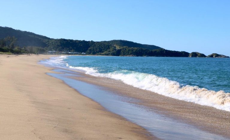 Plano de Manejo da APA Costa Brava é publicado e está valendo