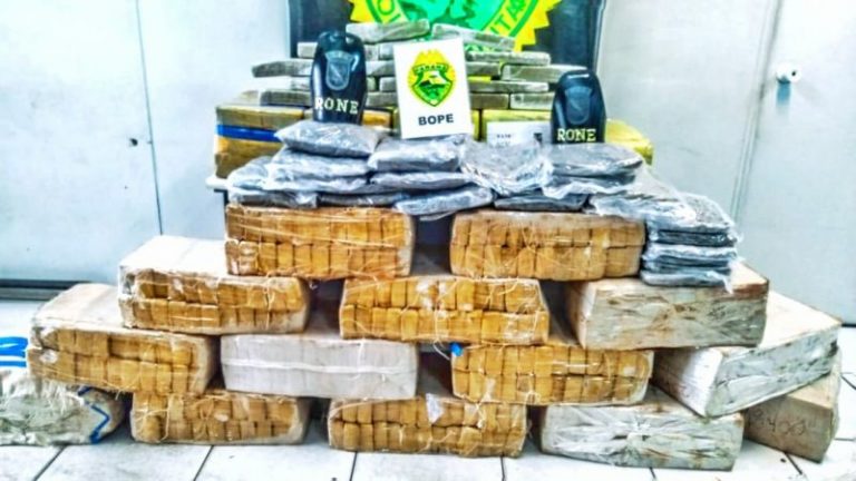 PM apreende mais de 400 quilos de maconha que seriam trazidos para SC