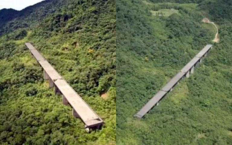 A história dos dois viadutos abandonados há 40 anos em meio à Serra do Mar