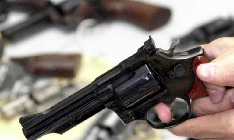 Registro de armas de fogo por cidadãos bate recorde em SC