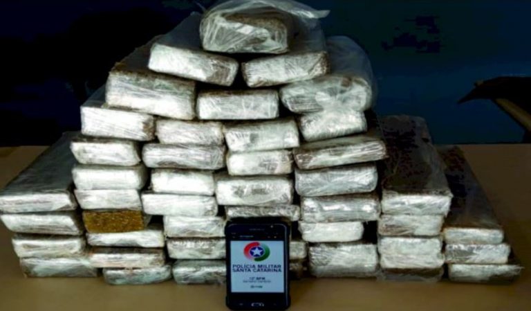 PM apreende 50 kg de maconha em Balneário Camboriú