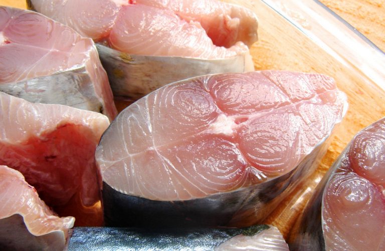 Após comer peixe, irmãs são internadas com doença da urina preta
