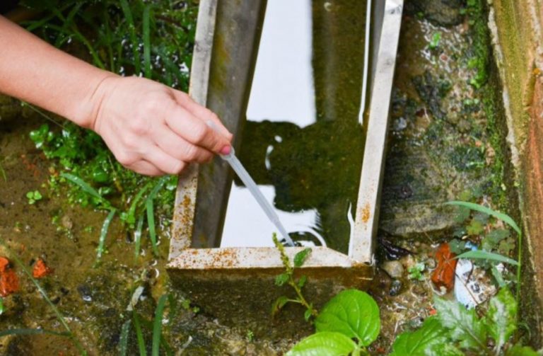 Moradores devem redobrar os cuidados contra a Dengue em BC